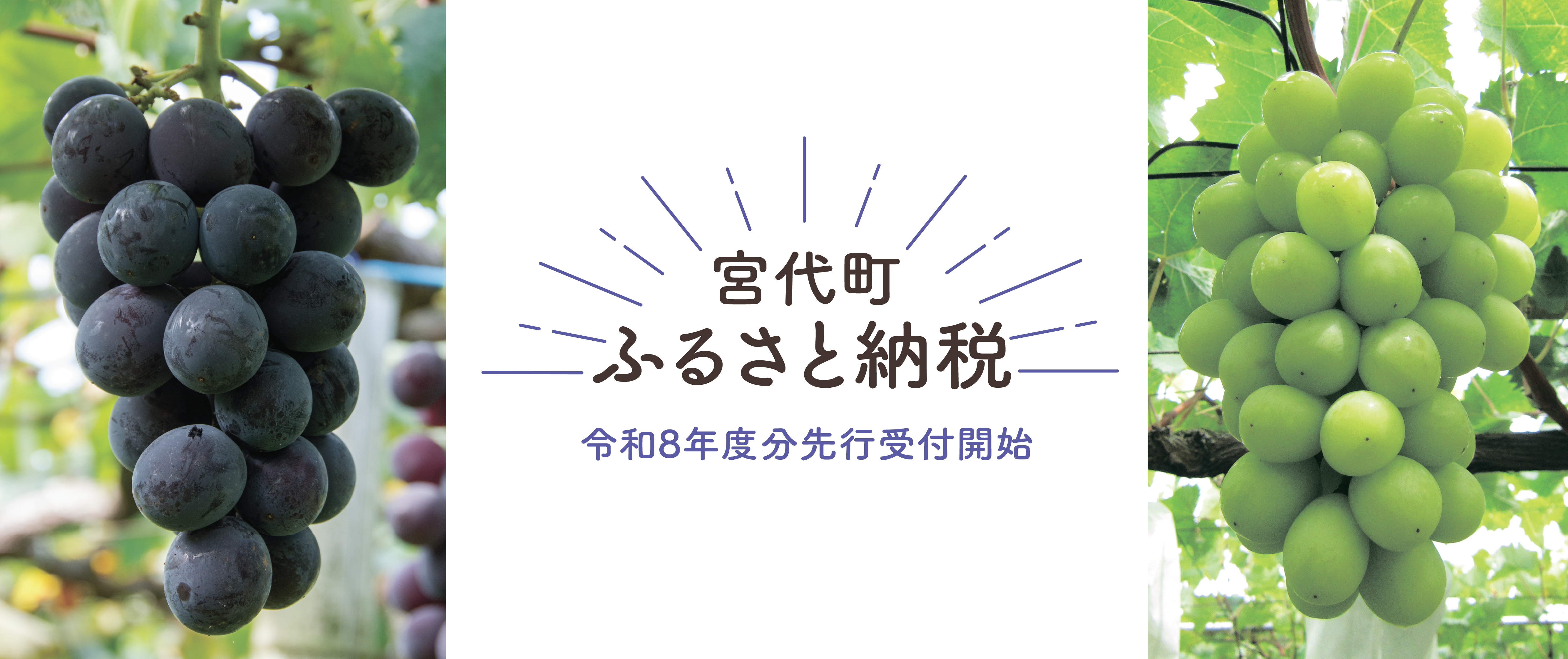 ふるさと納税2026